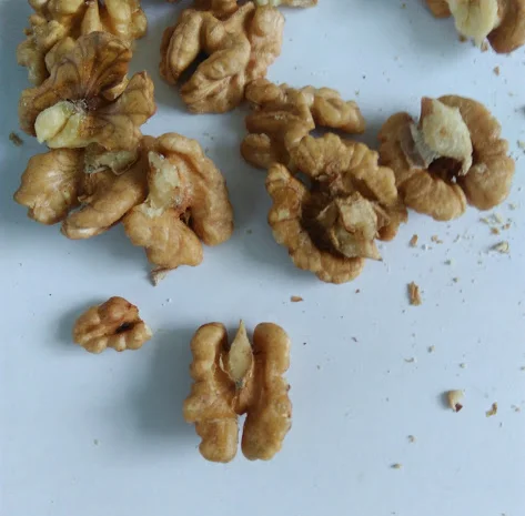 Влагомер зерна, грецкого ореха ВСП-99- фото № 4