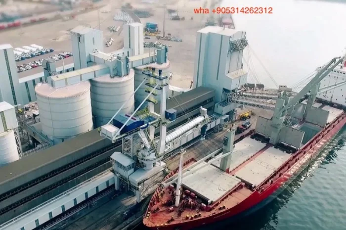 Зерновой перегружатель стамбул, перегружатель сыпучего груза стамбул- фото № 1