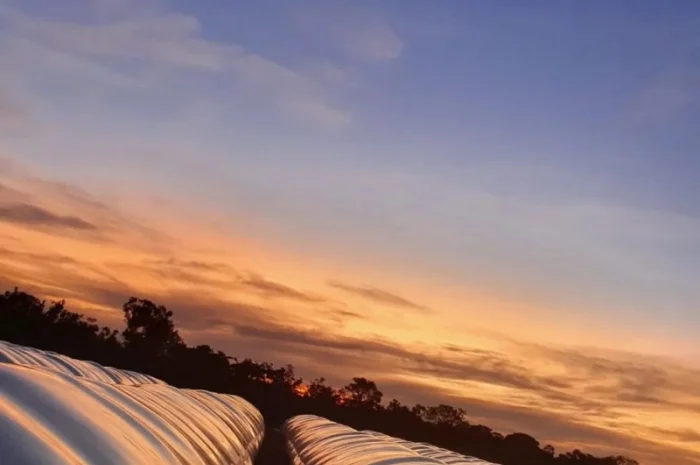 Silox рукава для зерна- фото № 4