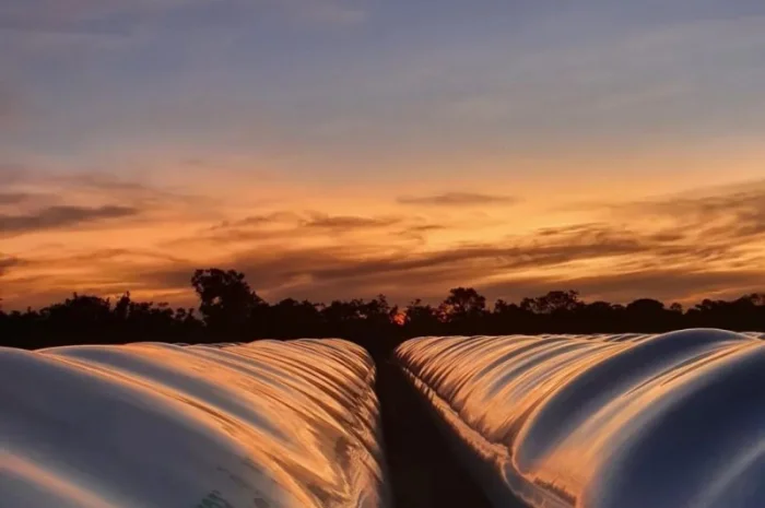 Silox рукава для зберігання зерна- фото № 3