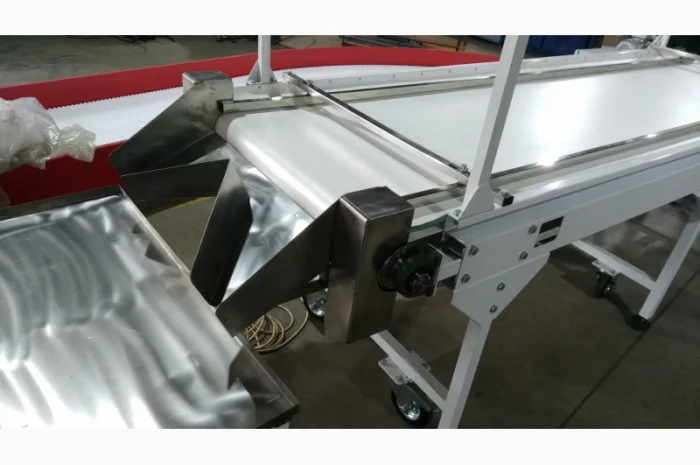 Конвейер ленточный сортировочный инспекционный- фото № 2