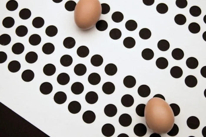 Стрічка збору яєць поліпропіленова- фото № 1