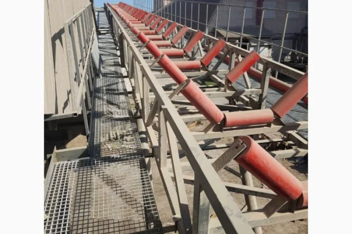 Конвеєр стрічковий МЗ Вітязь- фото № 2