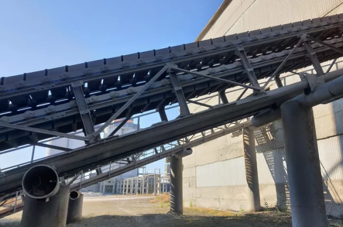 Конвеєр стрічковий МЗ Вітязь- фото № 5