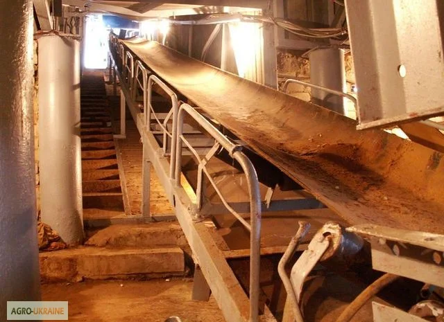 Ленточные транспортеры- фото № 1