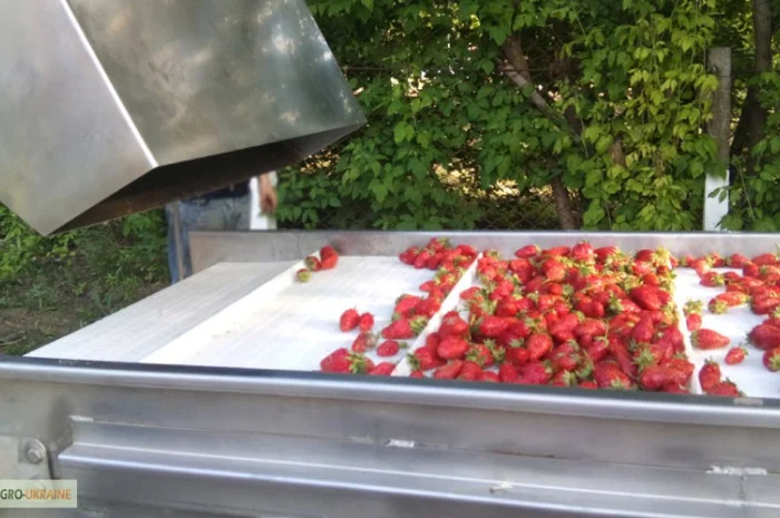 Барботажная моечная машина для мойки овощей и ягод- фото № 1