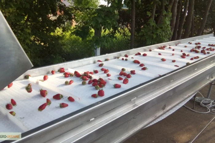 Барботажная моечная машина для мойки овощей и ягод- фото № 2