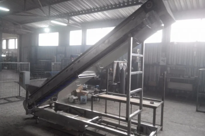 Конвеєр для ягід чорниці- фото № 4