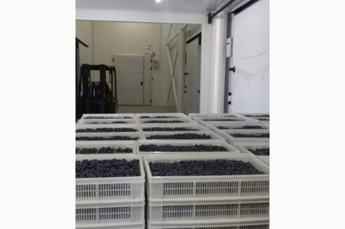 Холодильне, вентеляційне обладнання. МАС-СІСТЕМЗ- фото № 4