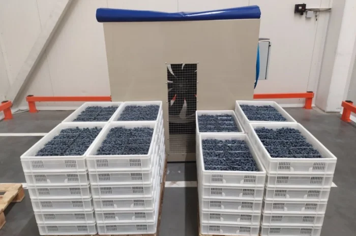 Обладнання для зберігання ягід- фото № 13