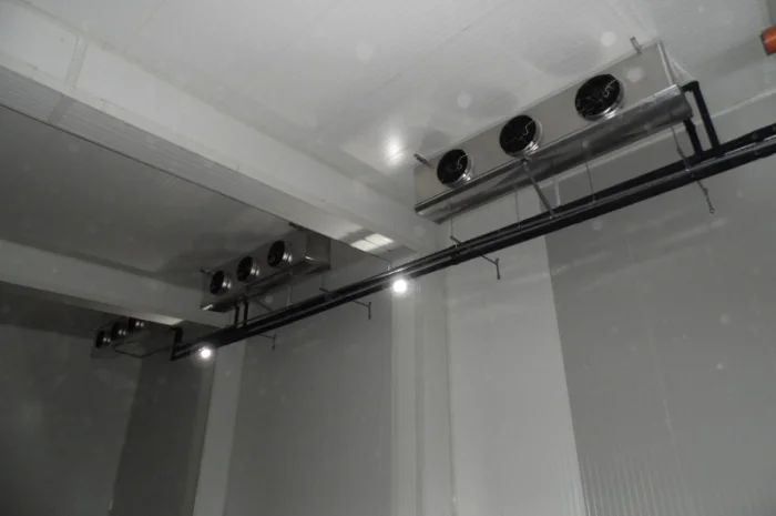 Холодильна камера для зберігання фруктів- фото № 1