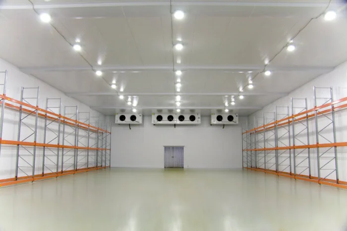 Камера для охлаждения и хранения голубики- фото № 1