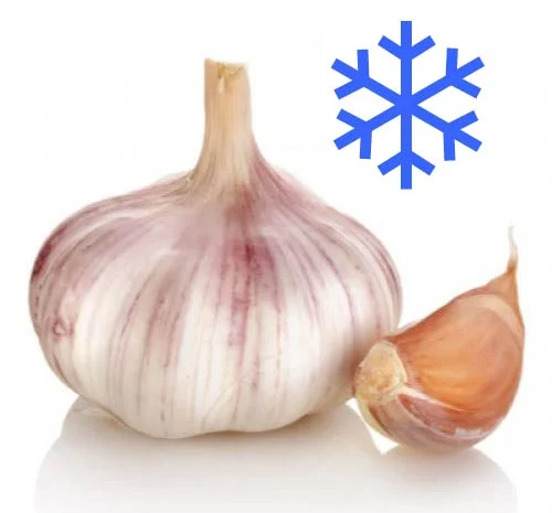 Холодильне обладнання для зберігання часнику- фото № 1