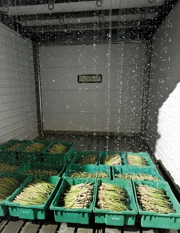 Гідрокулер для охолодження спаржі- фото № 1