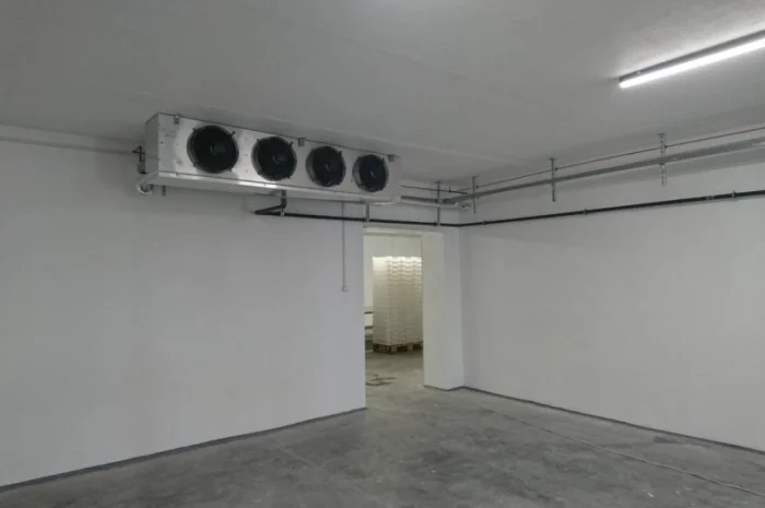 Холодильная камера для охлаждения и хранения голубики- фото № 1