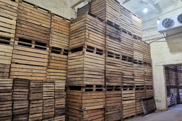 Оренда холодильної камери- фото № 5