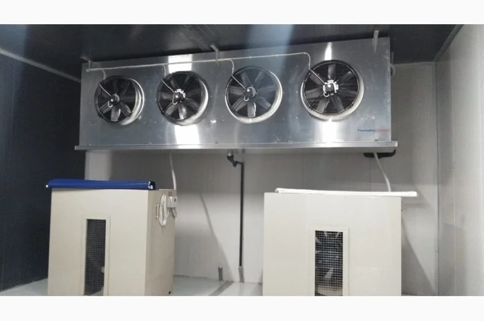 Овоче-Фруктосховище. МасСістемз- фото № 1