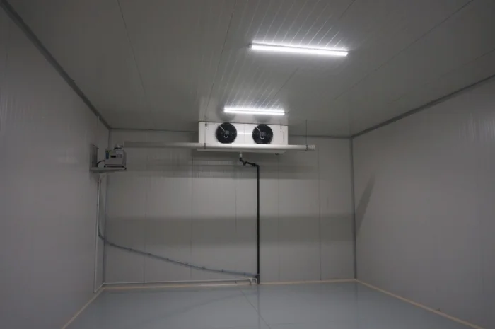 Овоче-Фруктосховище. МасСістемз- фото № 4