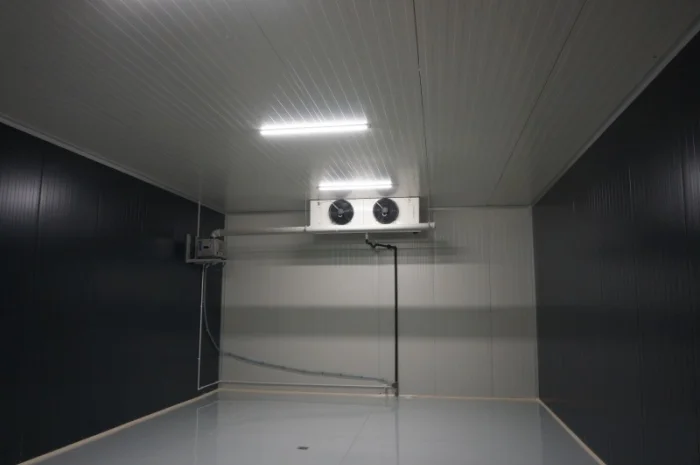 Овоче-Фруктосховище. МасСістемз- фото № 7