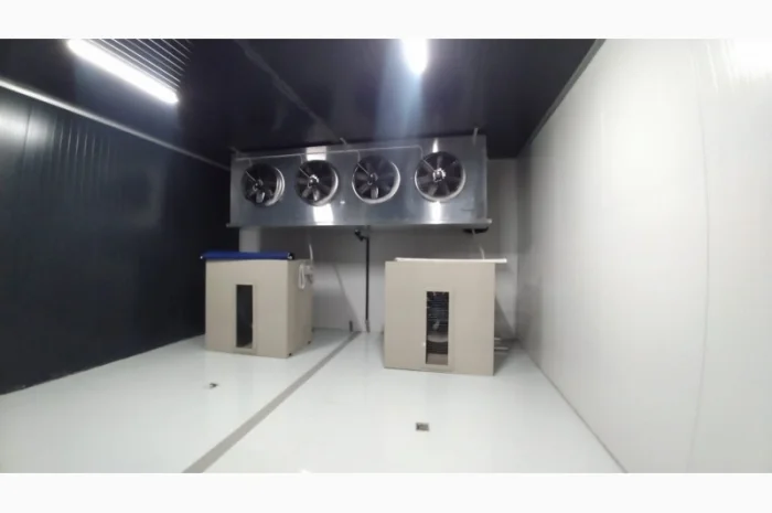 Овоче-Фруктосховище. МасСістемз- фото № 9