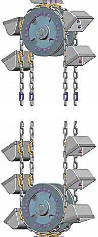 Норія ланцюгова- фото № 1