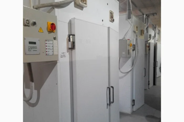 Линия для производства макарон La Monferrina 300 кг/час б/у- фото № 8