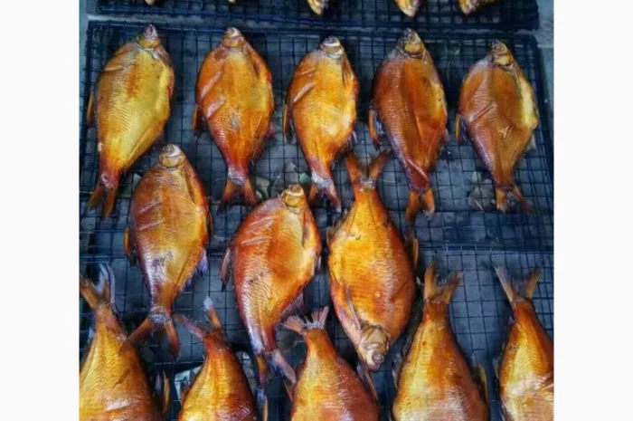 Промислова коптильня гарячого/холодного копчення STvega Smoke House H30- фото № 7