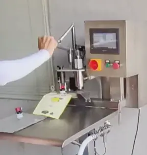 Апарат для розливу в пакети Bag-in-Box STvega BIB Filling Machine H200- фото № 4