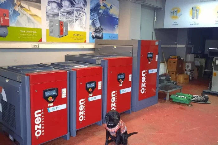 Гвинтовий компресор 15 бар, для видування ПЕТ тари -пляшок, лазерної різки- фото № 3