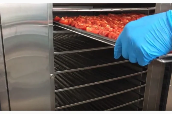 Cушильный инфракрасный шкаф "Фермер-1020" для производства фруктовых чипсов, мясных джерок- фото № 5