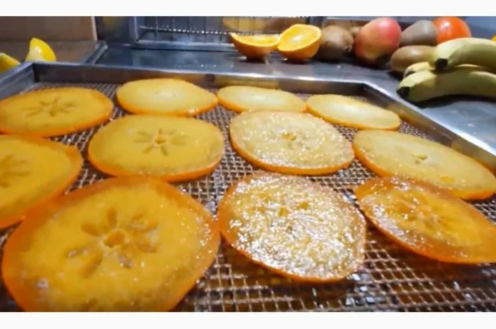 Cушильный инфракрасный шкаф "Фермер-1020" для производства фруктовых чипсов, мясных джерок- фото № 7