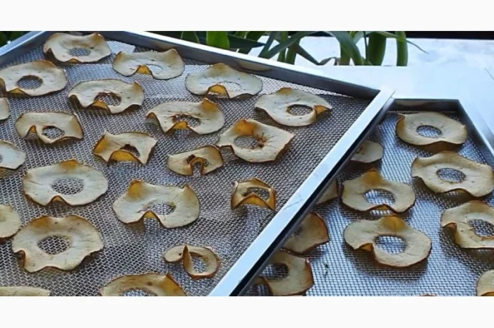 Сушилка инфракрасная "Фермер-1020", "Фермер-2040" для сушки ягод, фруктов, орехов, пастилы- фото № 6