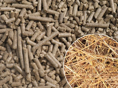 Линия гранулирования сена и соломы до 800 кг/час- фото № 1