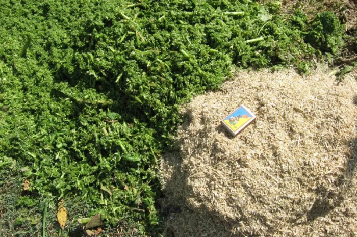 Измельчитель - зернодробилка - Соломорезка "Вихрь -2" 2, 2 Квт, 100Кг/час- фото № 3