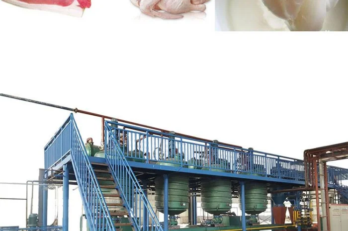 Оборудование для вытопки животного жира в технический, пищевой и кормовой жир- фото № 2