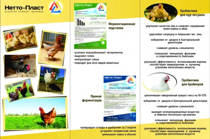 Полезные бактерии для животноводства- фото № 7