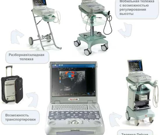 Ветеринарный УЗИ аппарат  MyLab Five Vet- фото № 1