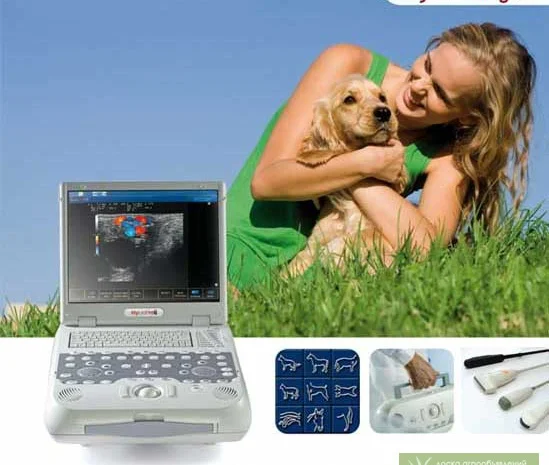 Ветеринарный УЗИ аппарат  MyLab Five Vet- фото № 2
