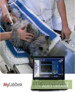 Ветеринарный УЗИ аппарат  MyLab Five Vet- фото № 3