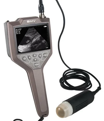 УЗИ сканер для свиноводства FarmScan M30- фото № 1