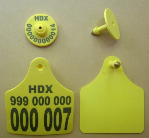 Электронные бирки для свиней и КРС- фото № 1