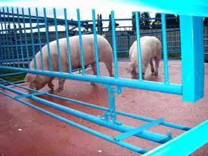 Покрытие для мест содержания животных- фото № 2