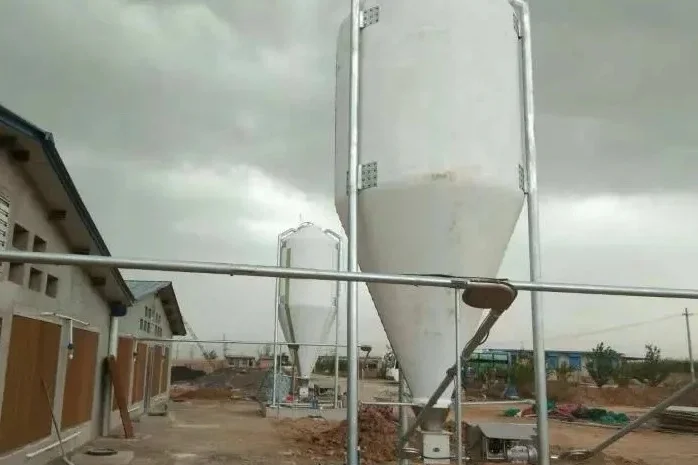 Кормороздача для свиней- фото № 1