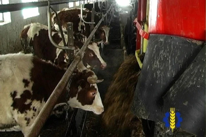 Кормораздатчик - смиситель (Миксер) КРК-11- фото № 5