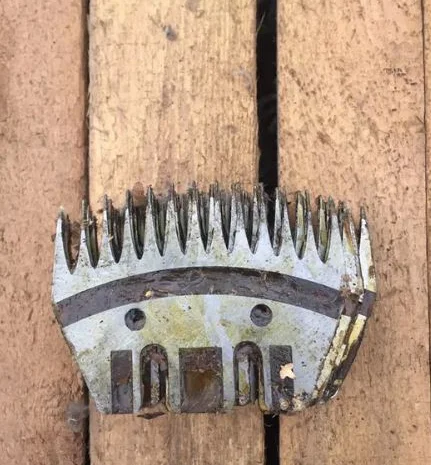 Ножи гребни для стрижки овец- фото № 5