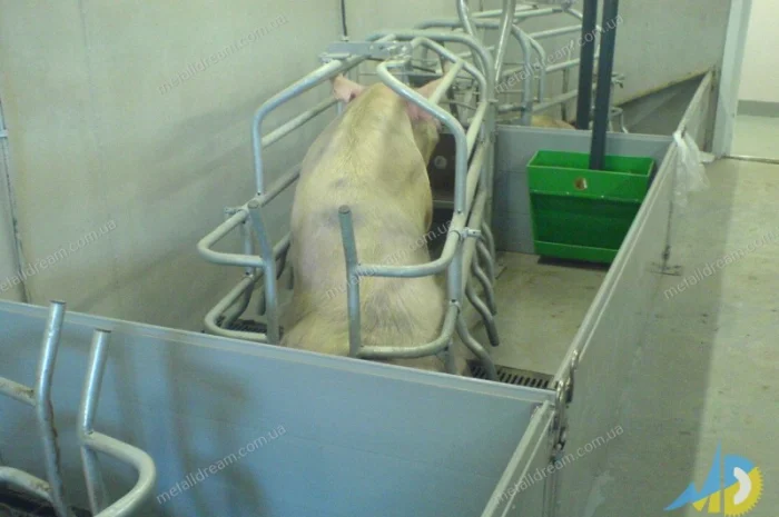 Обладнання для свинарства. Станки для опоросу, откорму, індивідуального утримання свиней- фото № 5