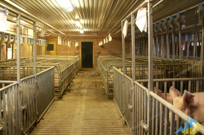 Обладнання для свинарства. Станки для опоросу, откорму, індивідуального утримання свиней- фото № 6