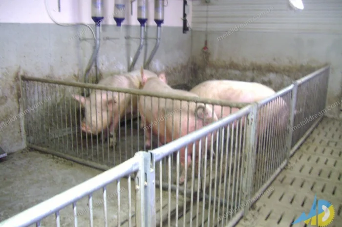 Обладнання для свинарства. Станки для опоросу, откорму, індивідуального утримання свиней- фото № 8