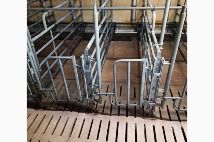 Індивідуальні станки для свиноматки- фото № 1