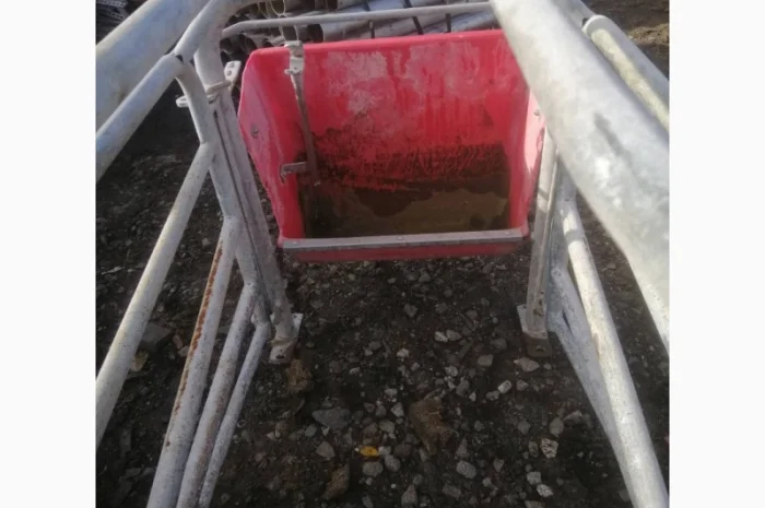 Станок опороса- фото № 4